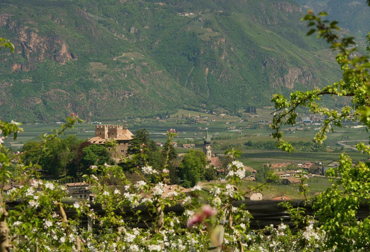Haus St. Valentin Βίλα Appiano Sulla Strada Del Vino Εξωτερικό φωτογραφία